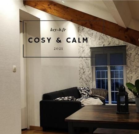Calm & Cosy Apartment Freyming-Merlebach Exterior photo